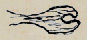 tail