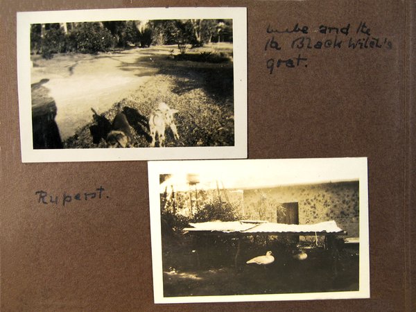 jo192726.jpg