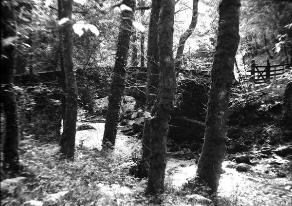 dscn3251.jpg