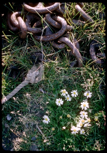 image7.jpg