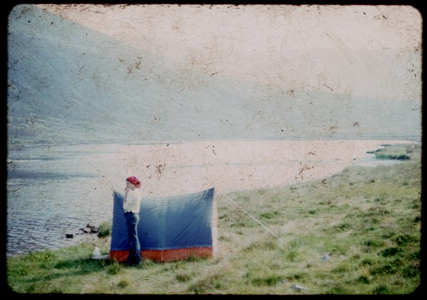 sally-hoy-01.jpg