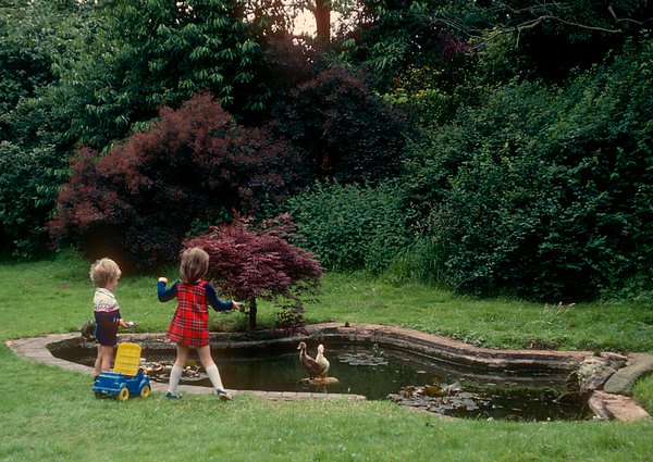 h_t_duckpond.jpg
