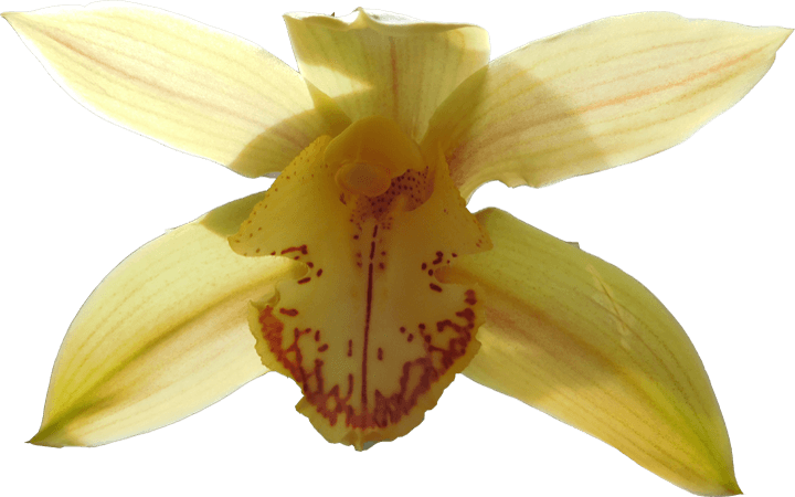 Image 01