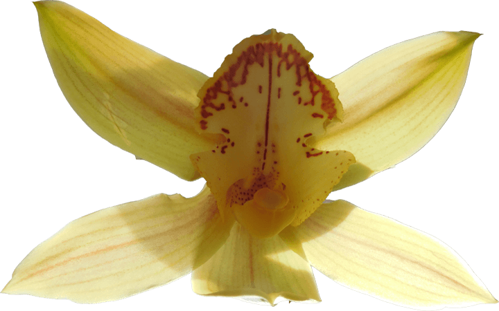 Image 02