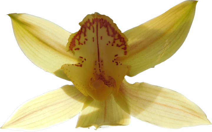 Image 03