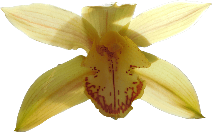 Image 04