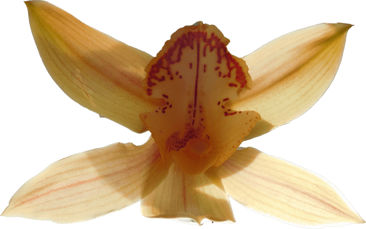Image 07
