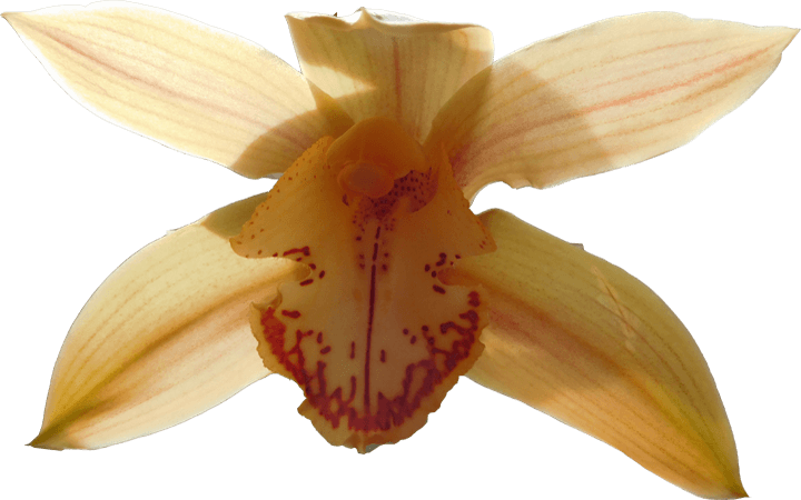 Image 08
