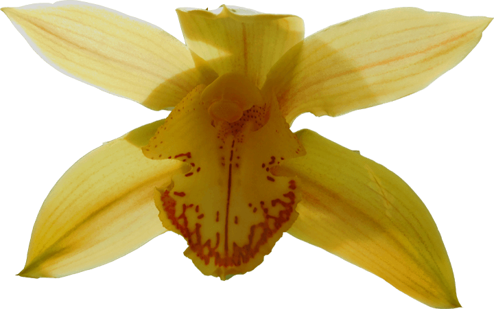 Image 09