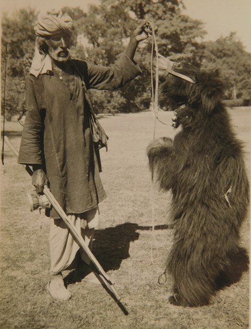 Traveller with Bear, Jullunder 1945