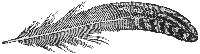 feather