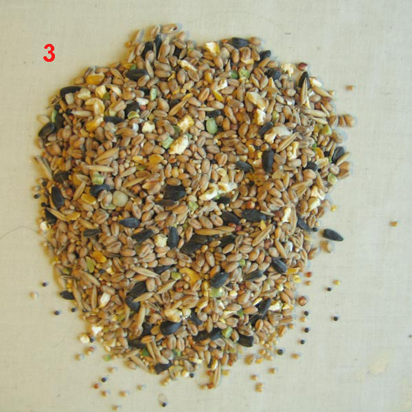 seed sample