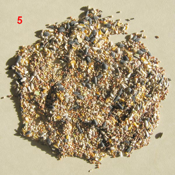 seed sample