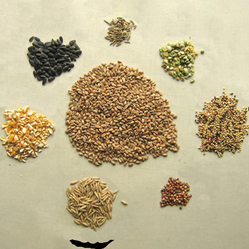 Bird seed