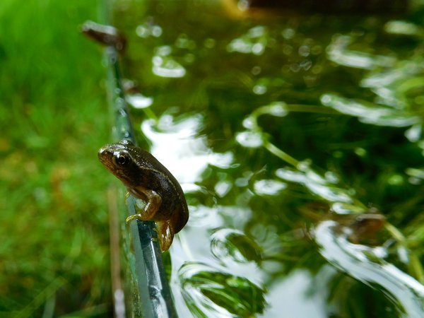 dscn7538.jpg